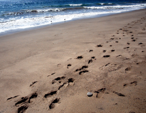 How you preserve memories of your trip can sometimes be as important as the trip itself - California Beach Memories (c) 2008 Ted Grellner